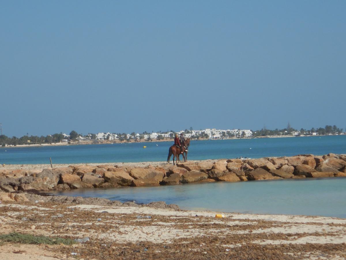 Maison Les Palmiers 300M De La Plage Aghīr Exteriör bild